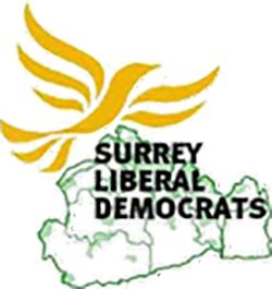 Surrey Lib Dems